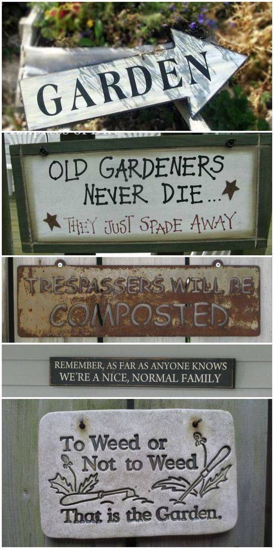 Funny Cute Sarcastic And Sentimental Garden Signs
