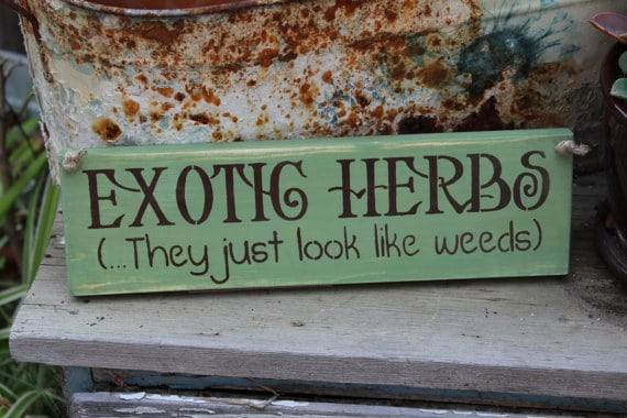 Clever Gardening Slogans