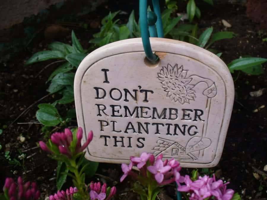 Wooden Stakes Funny Gardening Signs