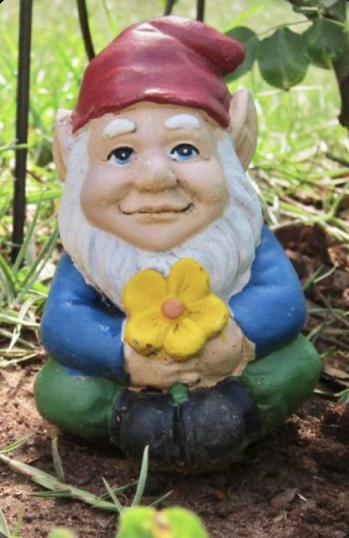 Garden Gnome Statue Pool Party Pete Naked Gnome Outdoor Garden