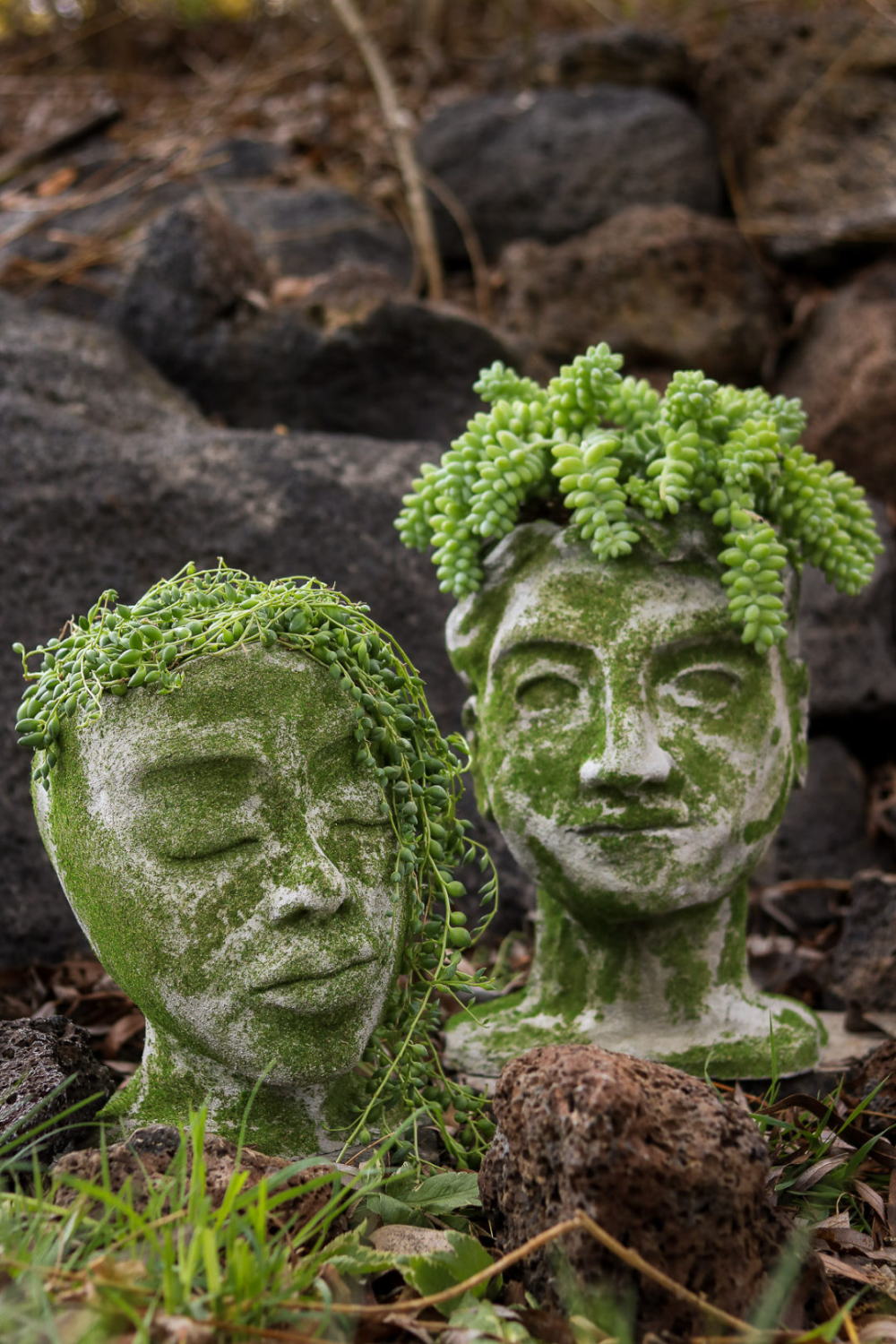 Concrete Garden
