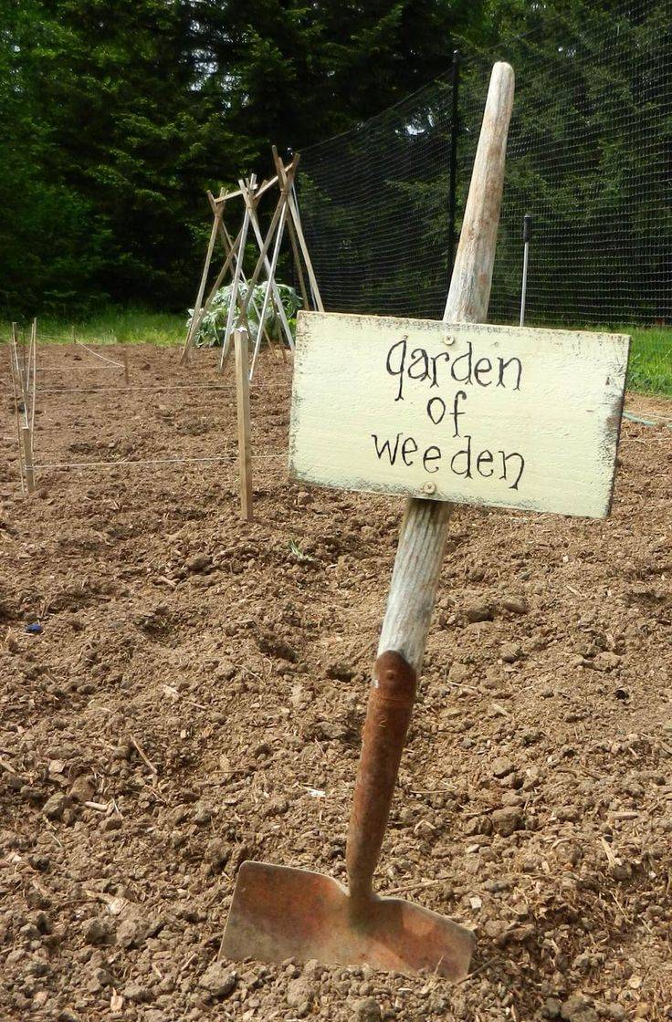 Diy Garden Signs