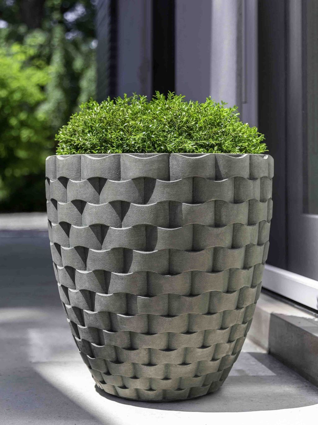 Rectangular Concrete Planters