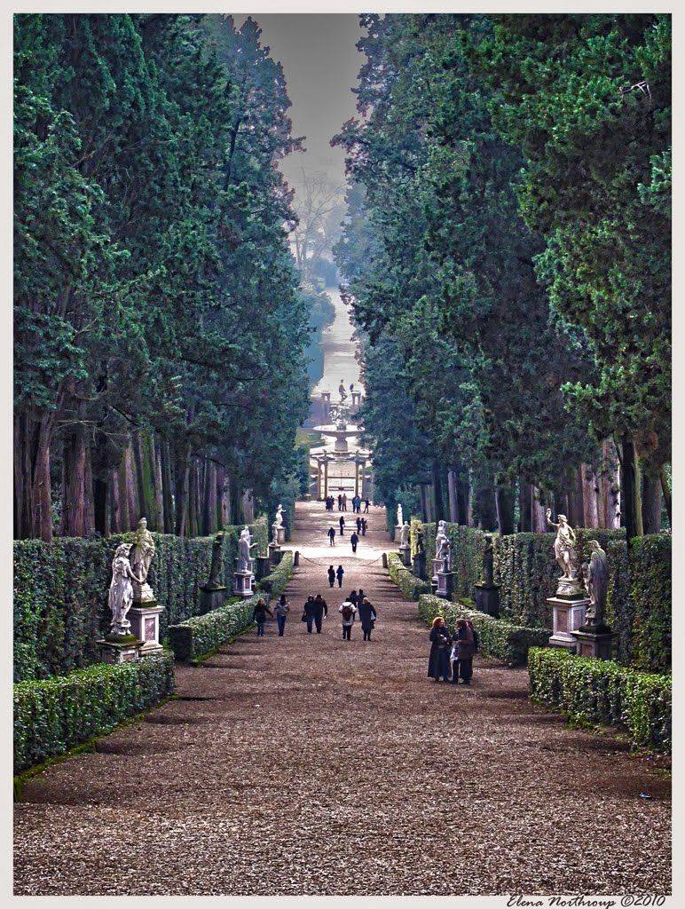 Paris Paris Garden