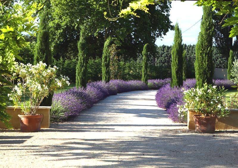 Interesting Tuscan Garden Design Ideas