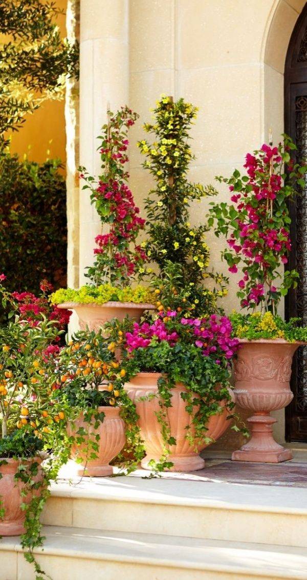Small Tuscan Garden Design