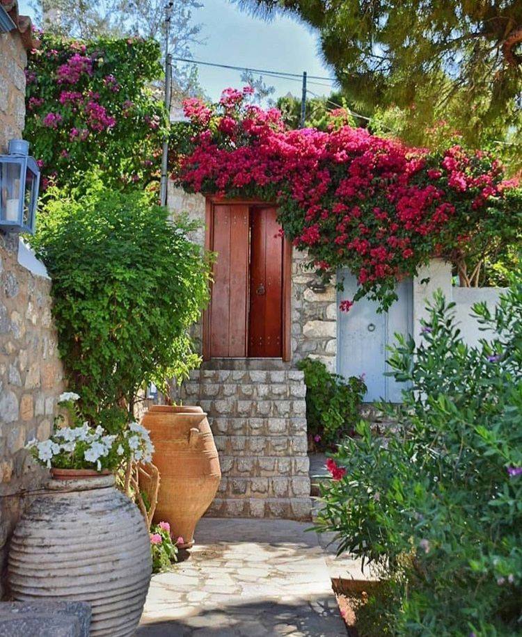 Mediterranean Garden Design