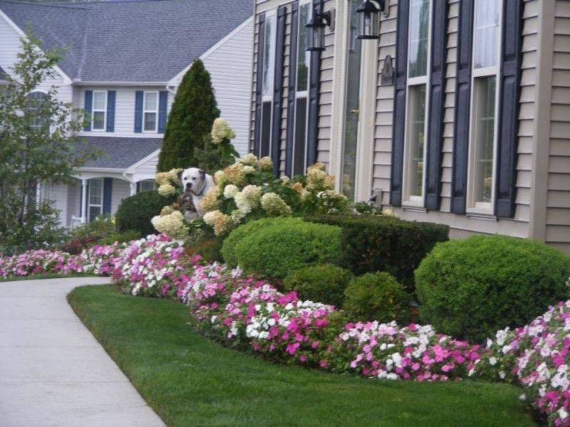 Best Landscaping Ideas Southern Living