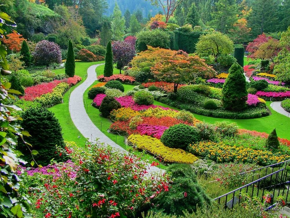 Pinterest Gardens