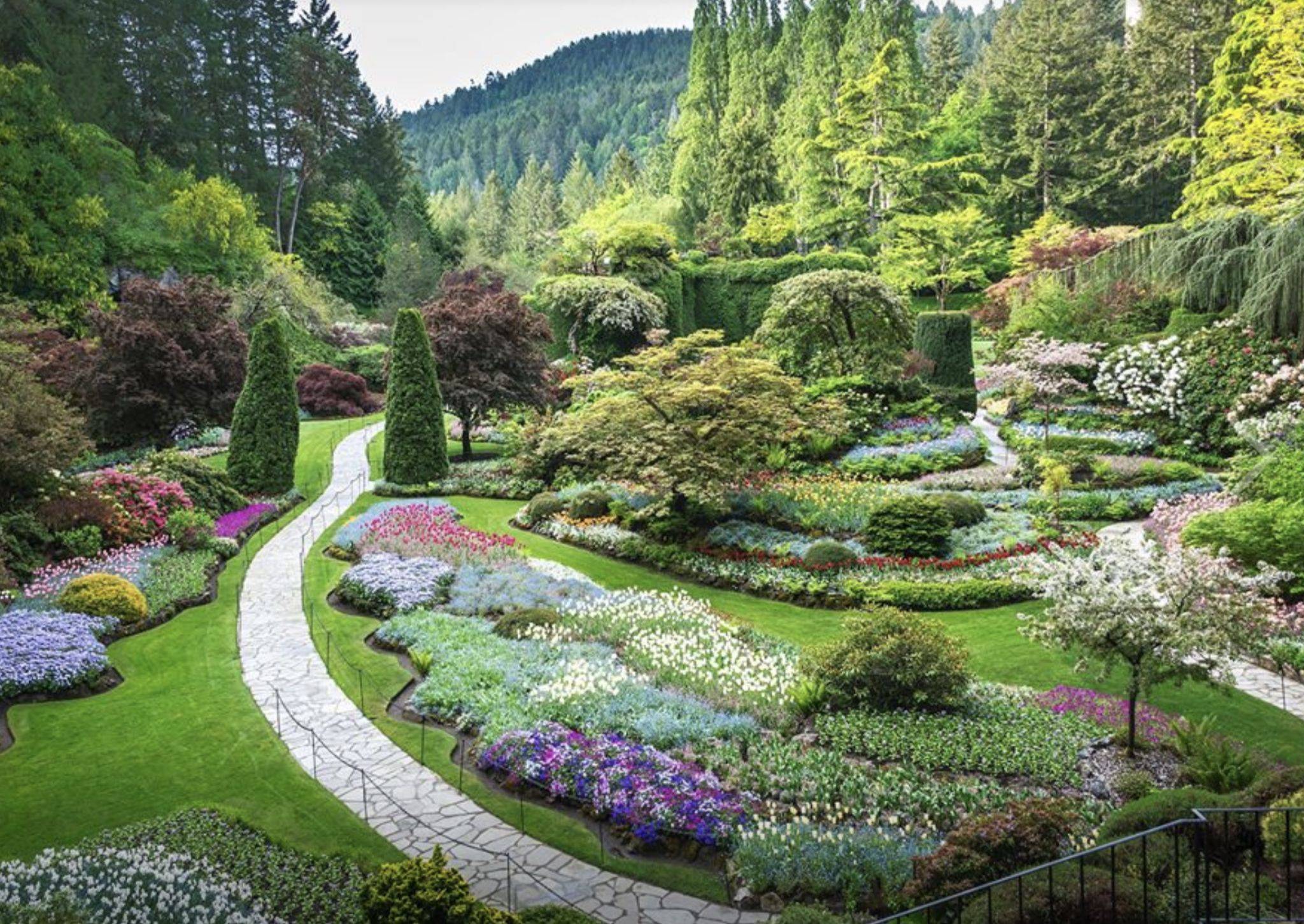 The Burchett Gardens