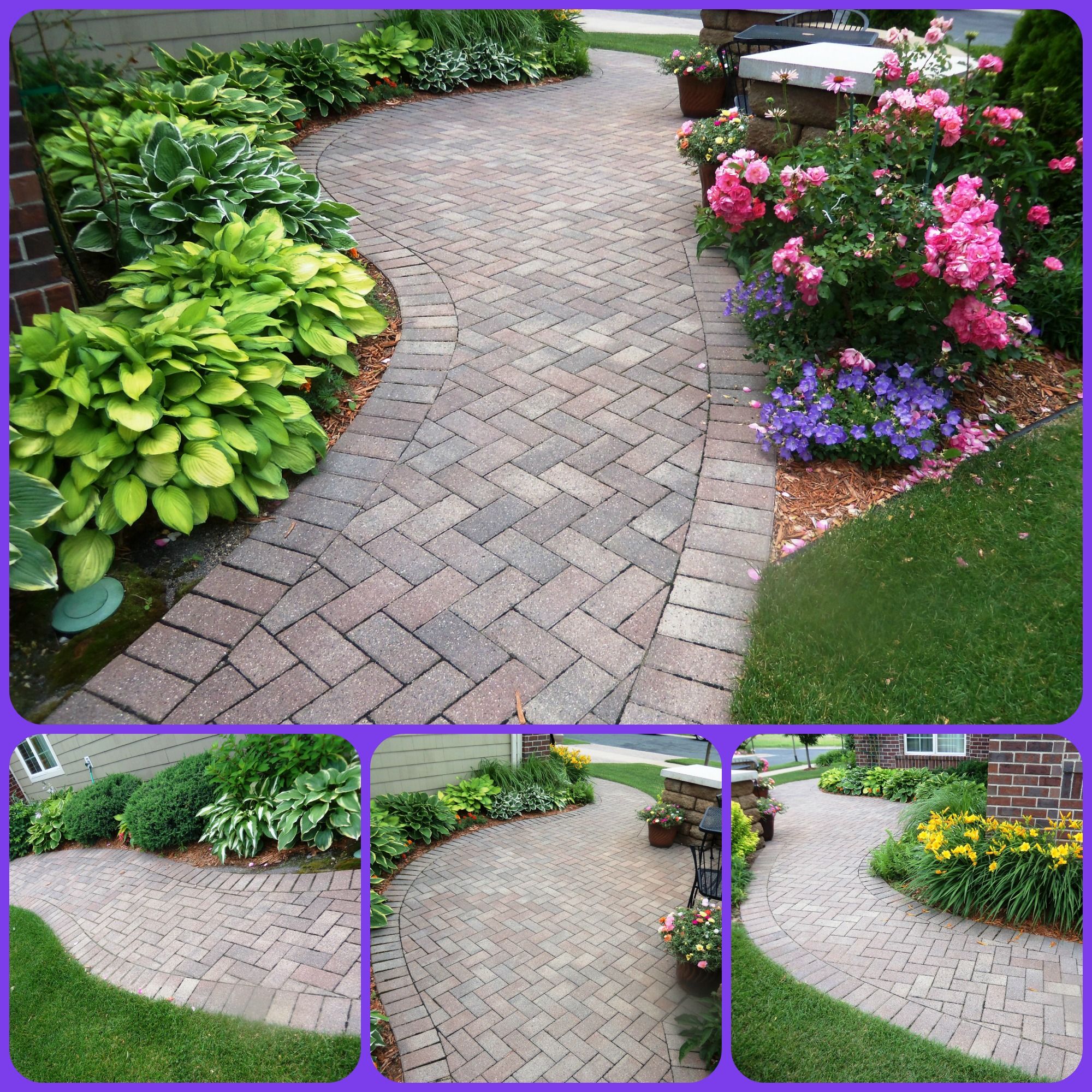 New Landscape Landscape