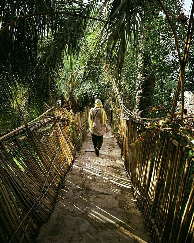 Earthly Delights Garden