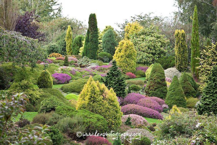 The Reallife Edens Garden