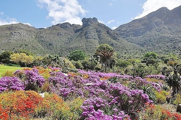 Massachusetts Bible Society