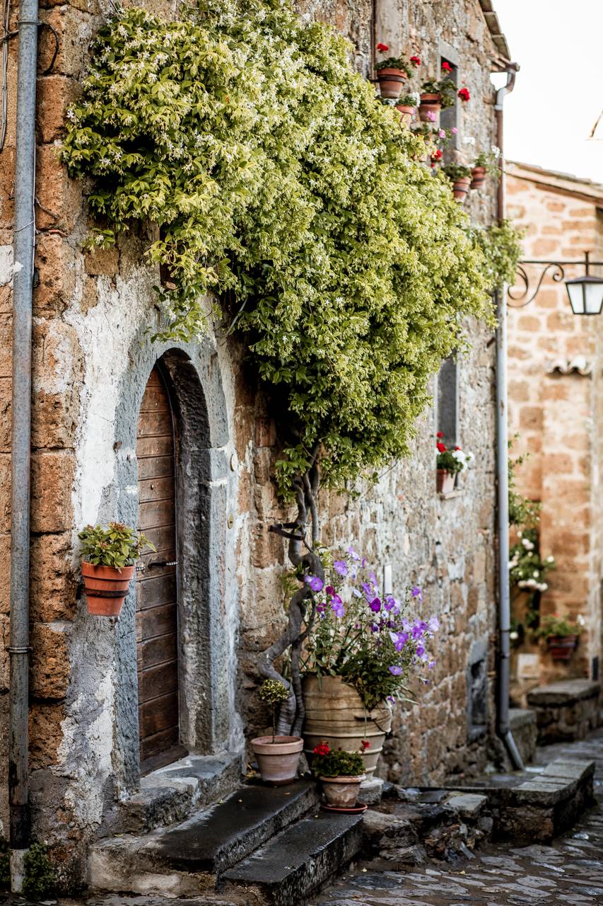 Mediterranean Landscaping