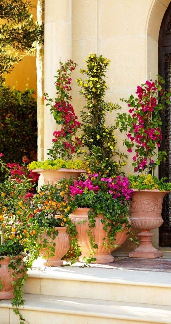 Tuscaninspired Courtyard Hgtv