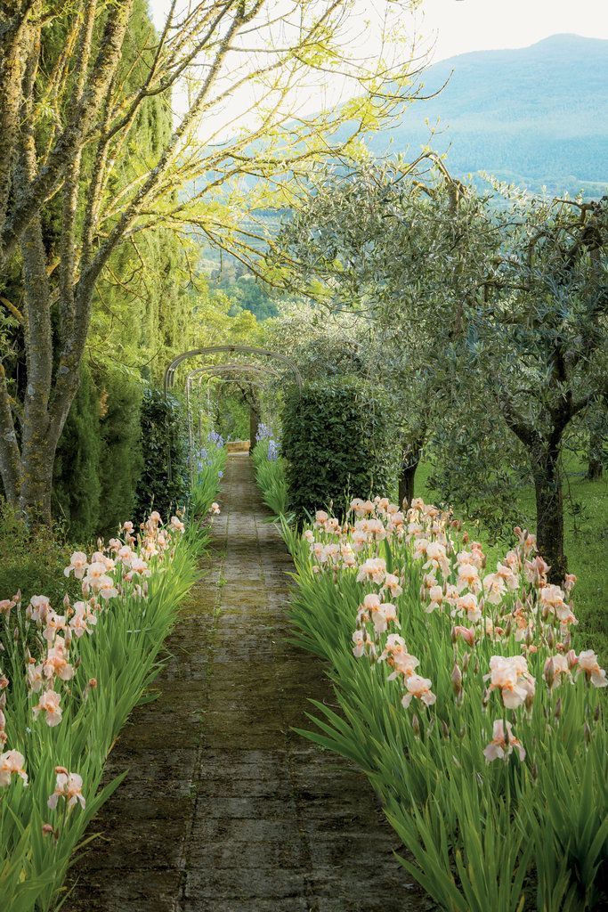 Photo Page Hgtv