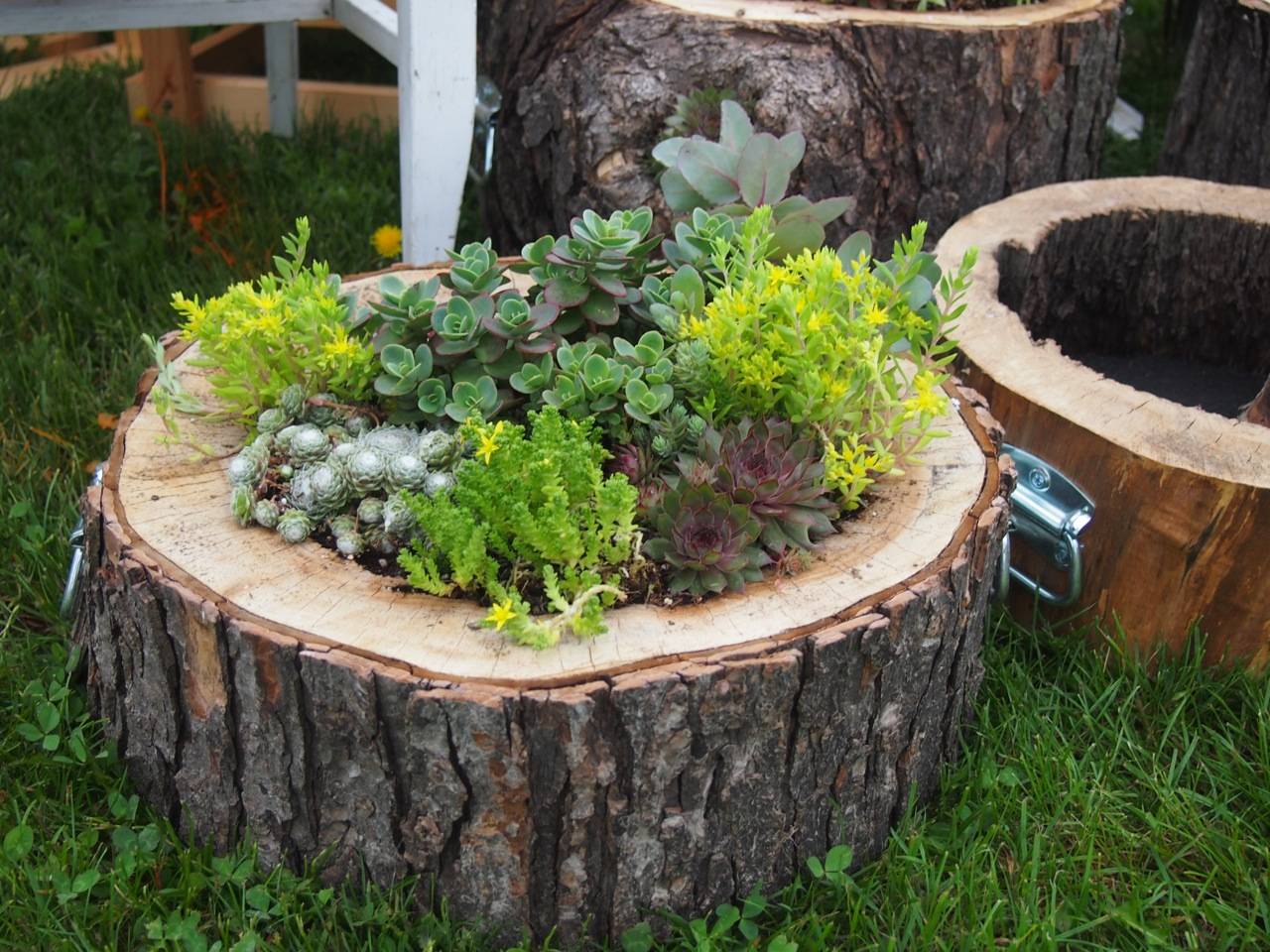 Diy Tree Log Ideas