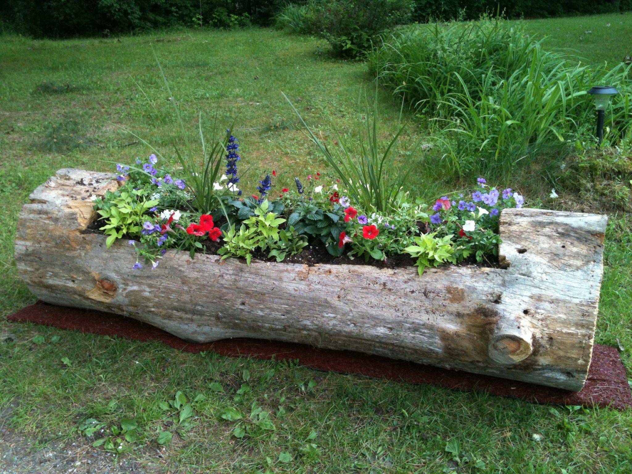 Best Creative Garden Container Ideas