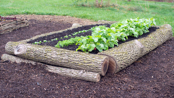 Log Garden Diy Garden