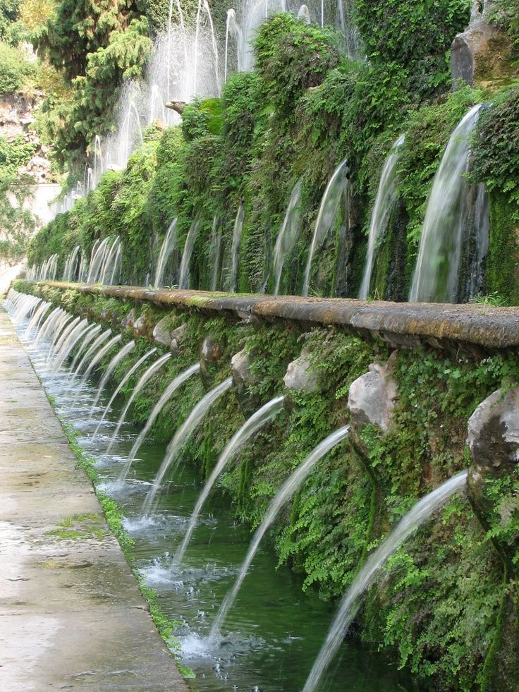 Renaissance Garden Design Jennifer Current Chicago Gallery News