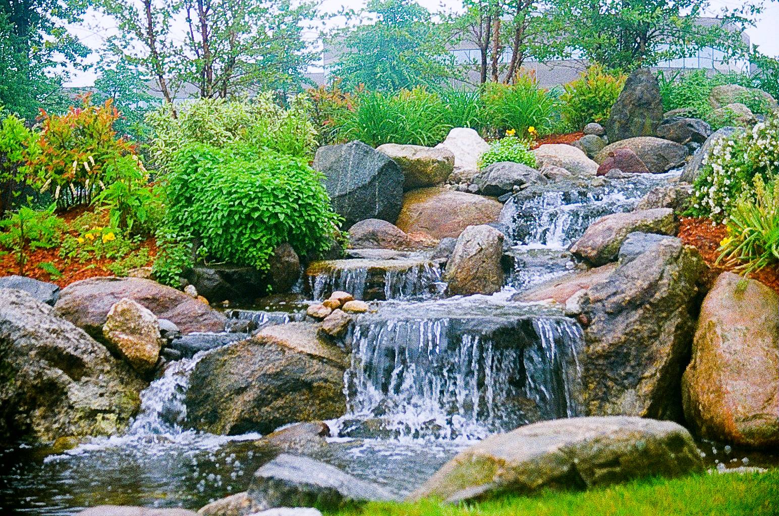 Impressive Backyard Ponds