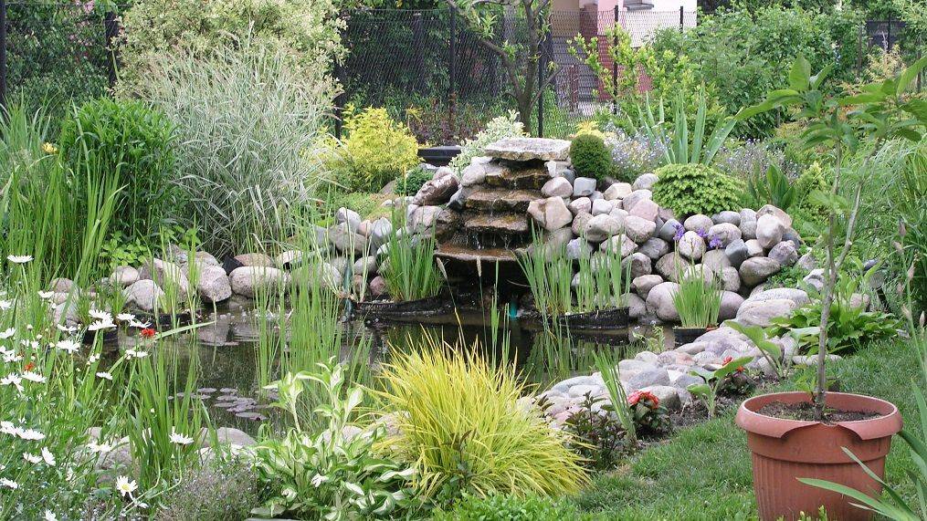 City Nursery Growing Tips Jolly Lane