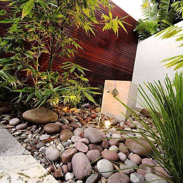 A Waterless Garden