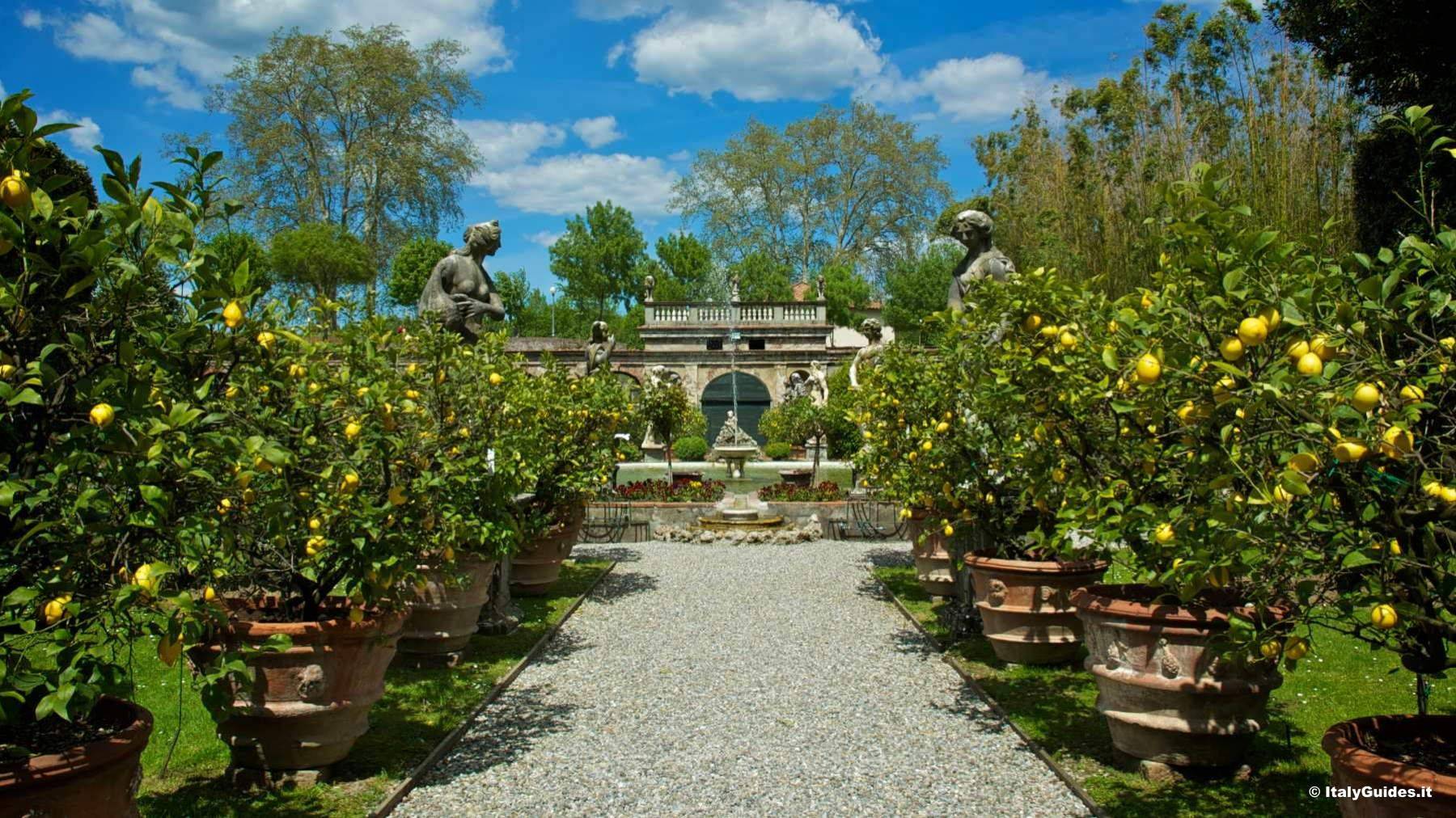Villas Villa Massei