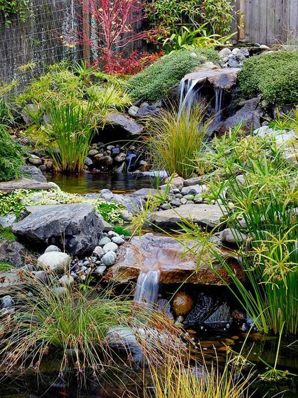 Beautiful Backyard Ponds