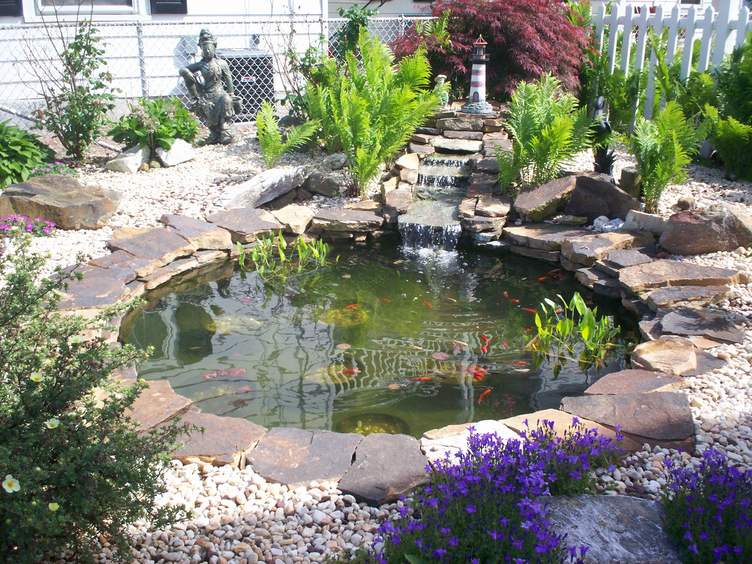 Beautiful Backyard Ponds