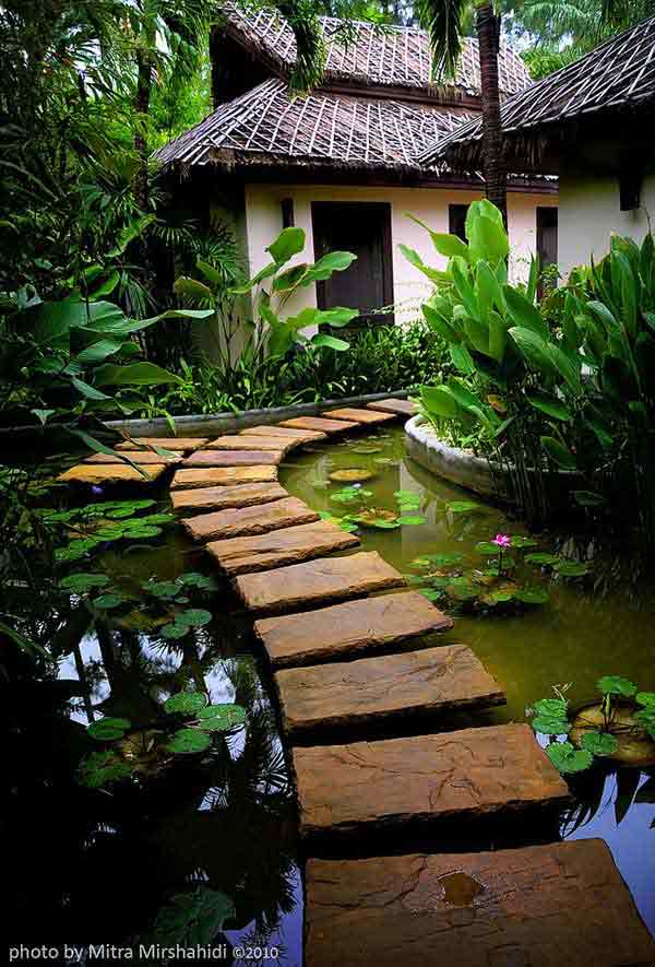 Backyard Waterfall Ideas