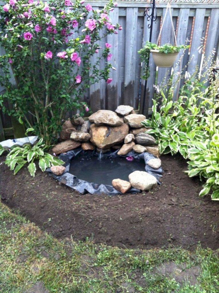 Beautiful Backyard Ponds