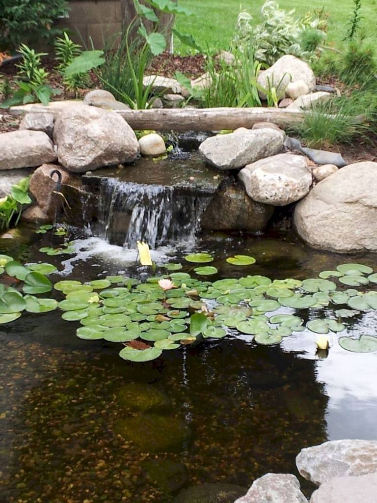 Water Garden Design Ideas
