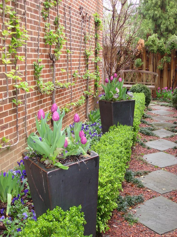 A Raised Bed Garden