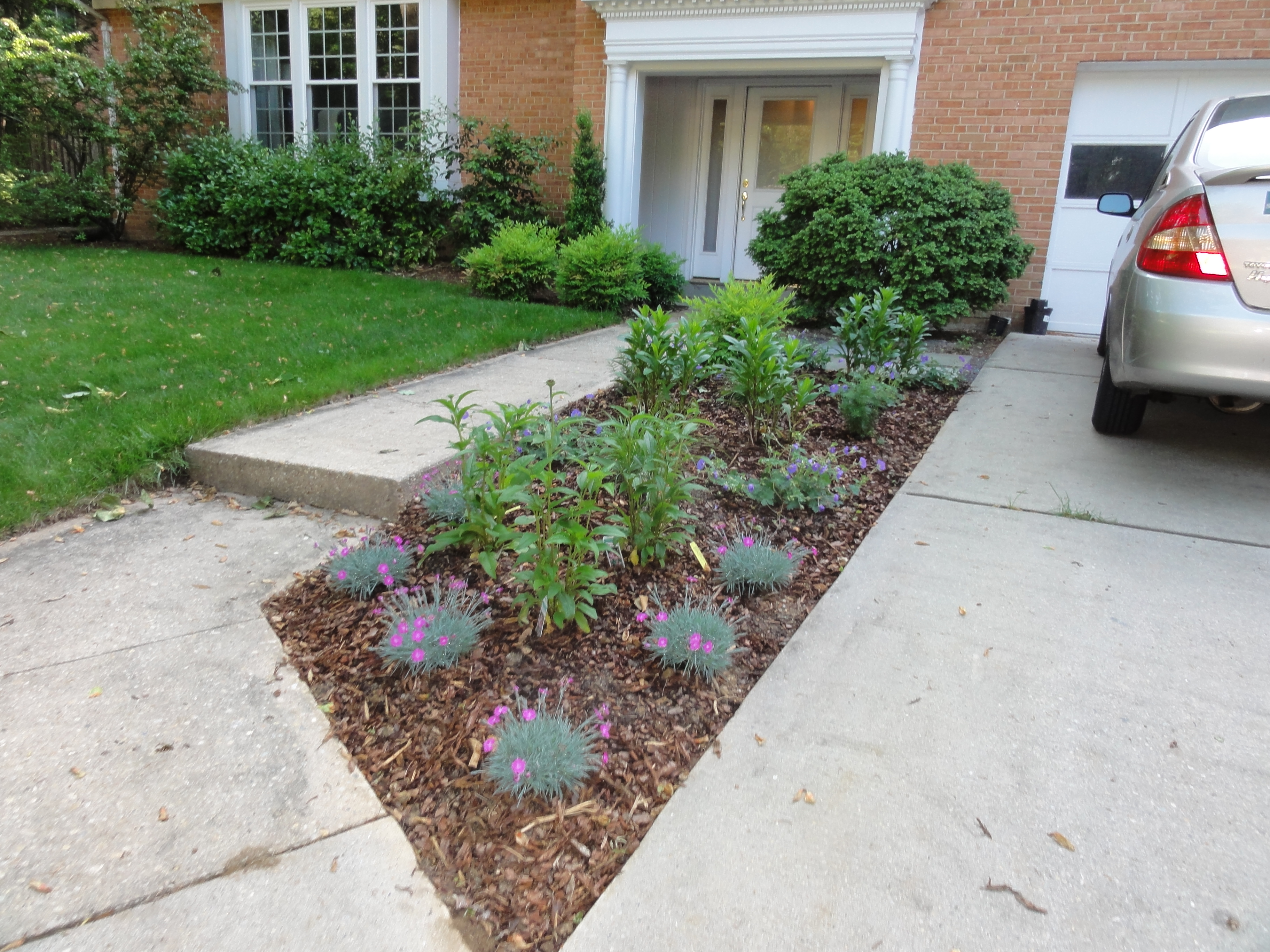 Landscape Design Ideas