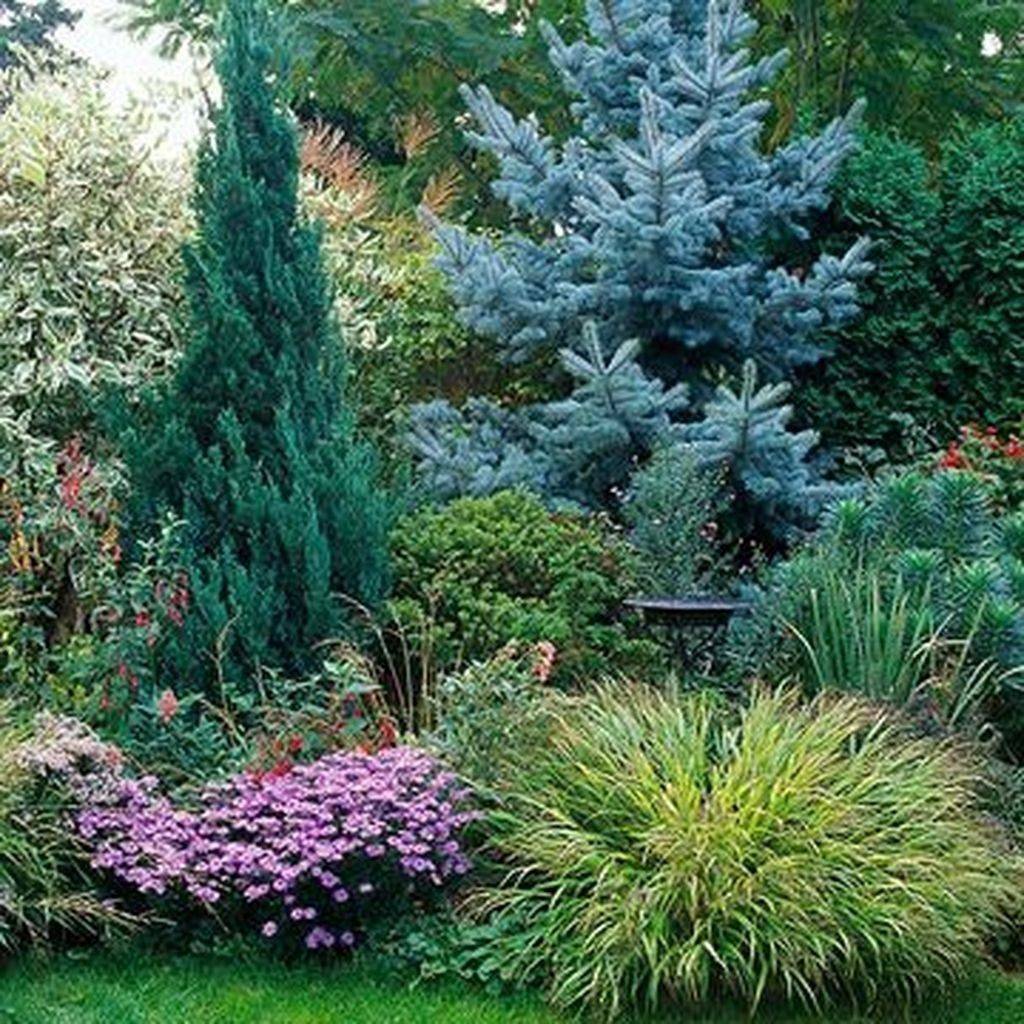 Beautiful Front Yards And Backyard Evergreen Garden Design Ideas