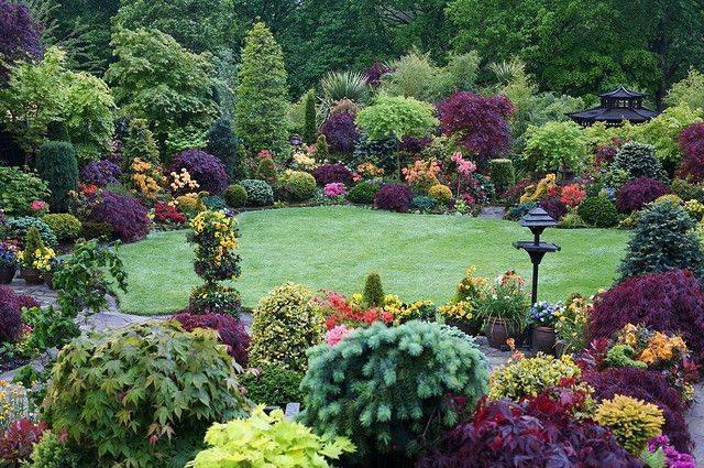 Evergreen Tree Landscape Ideas