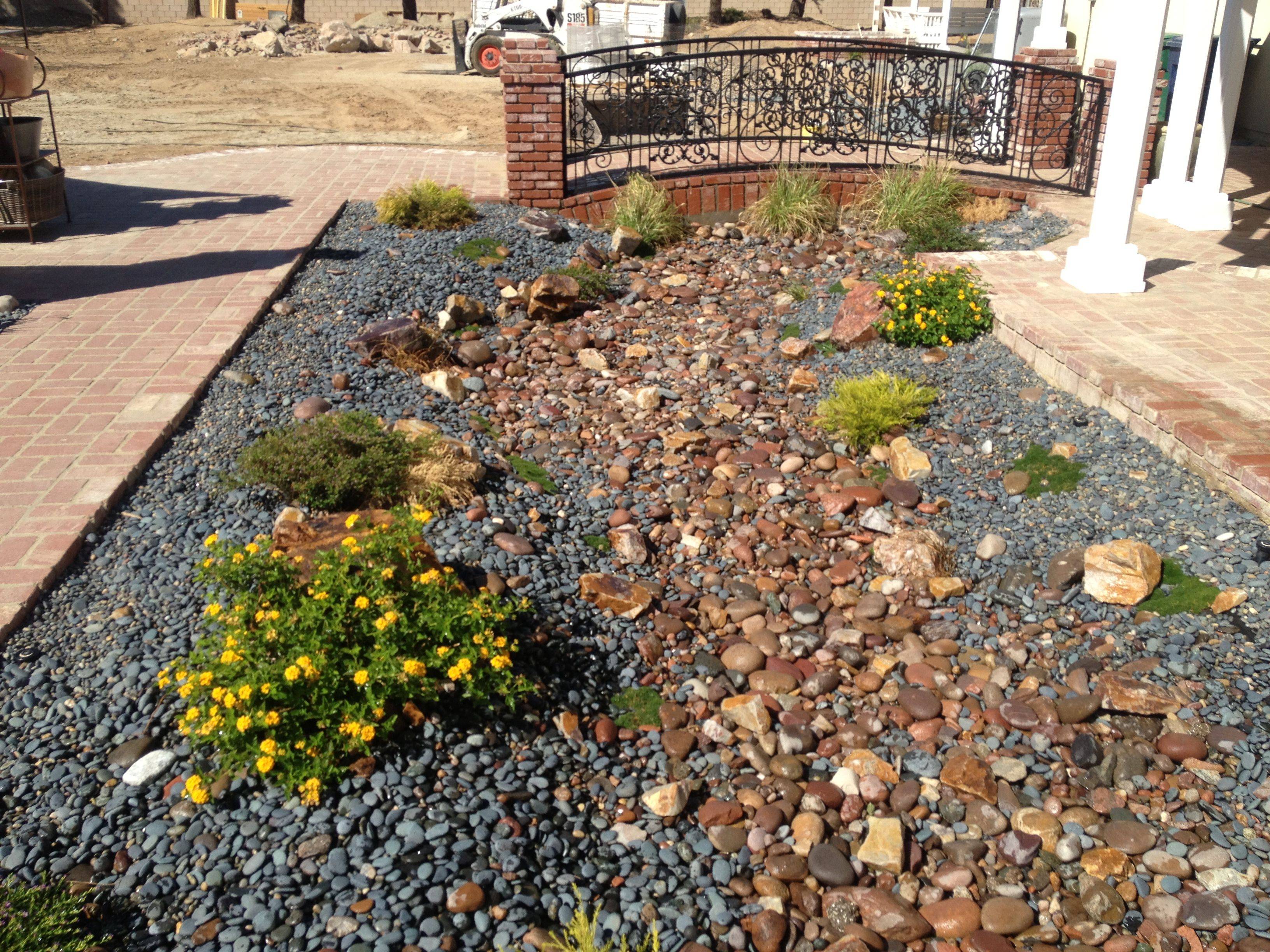 Mexican Pond Pebbles