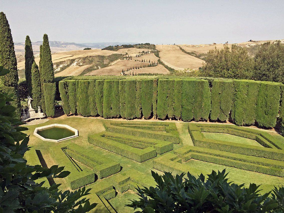La Foce Cypress Trees
