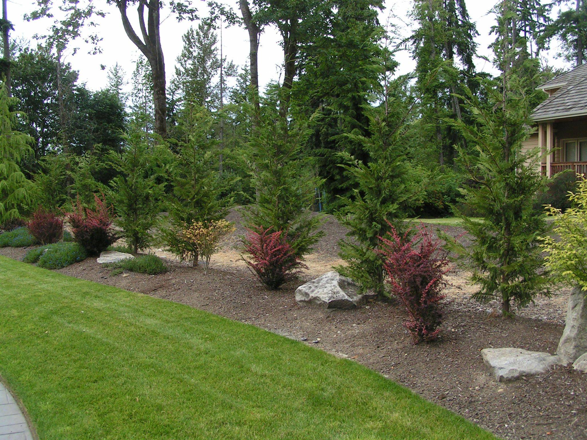 Landscaping Ideas