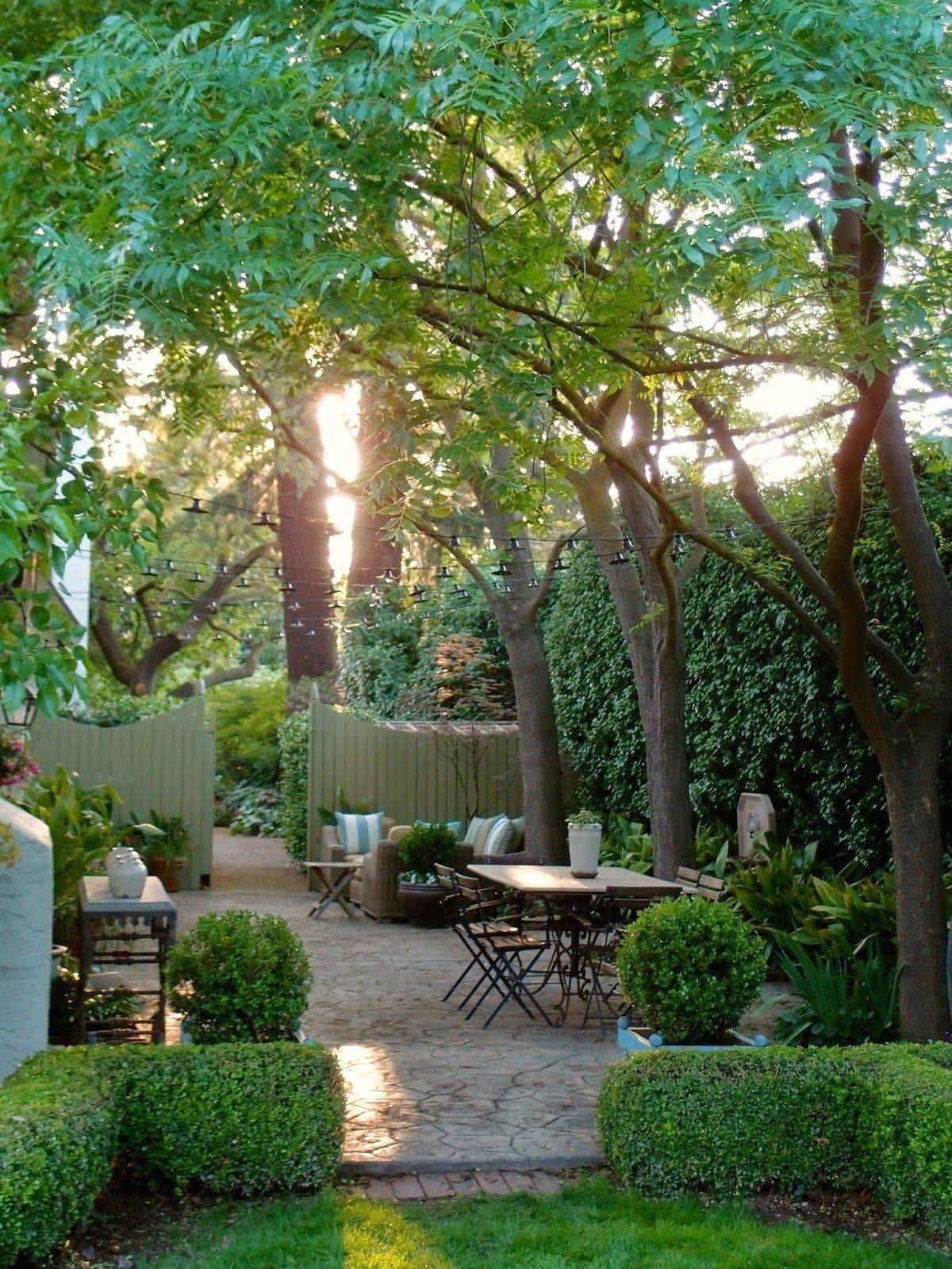 Diy Garden Projects
