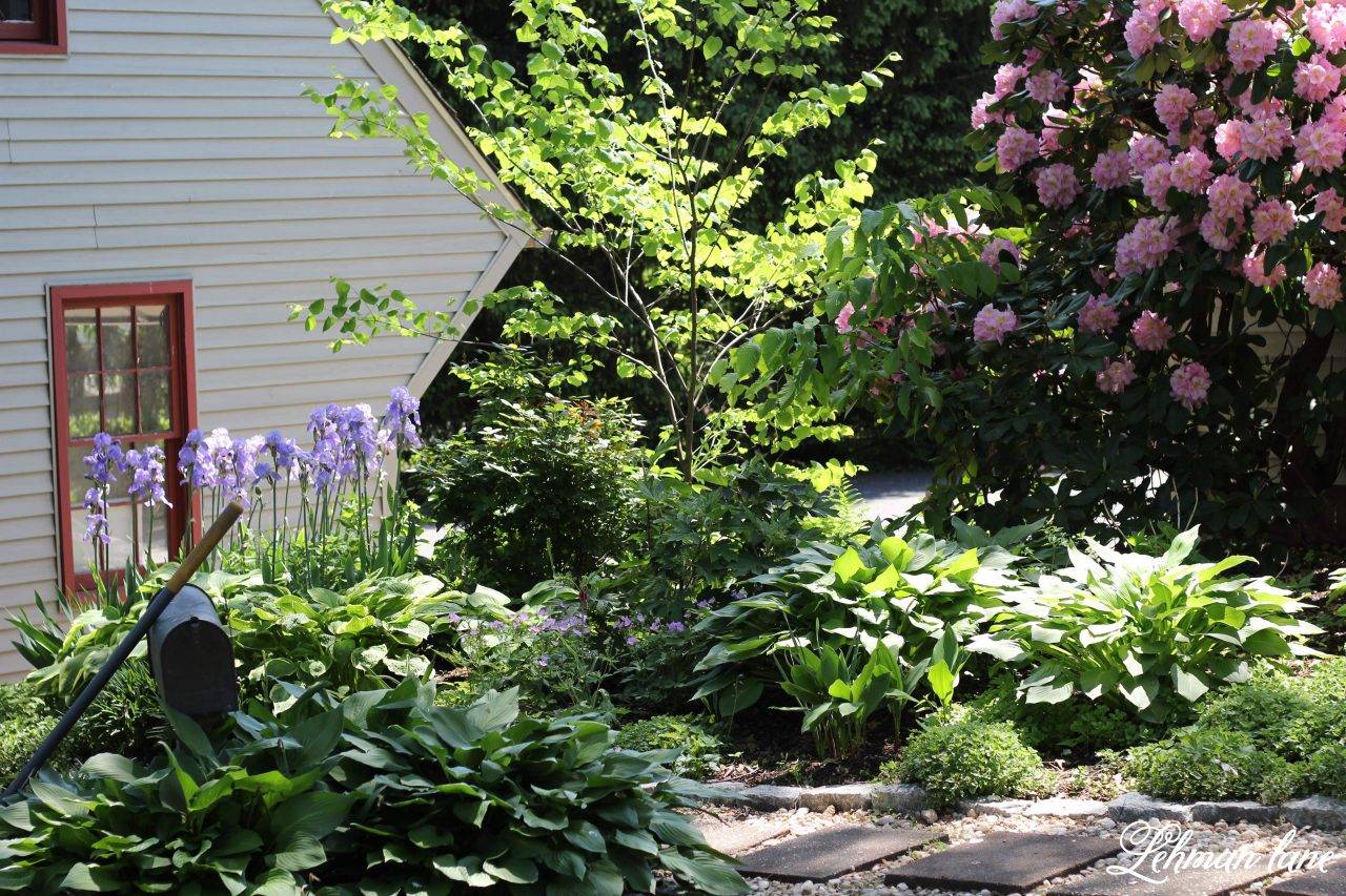 Gorgeous Linda Vater Gadens Landscaping Ideas Httpskidmagzcom