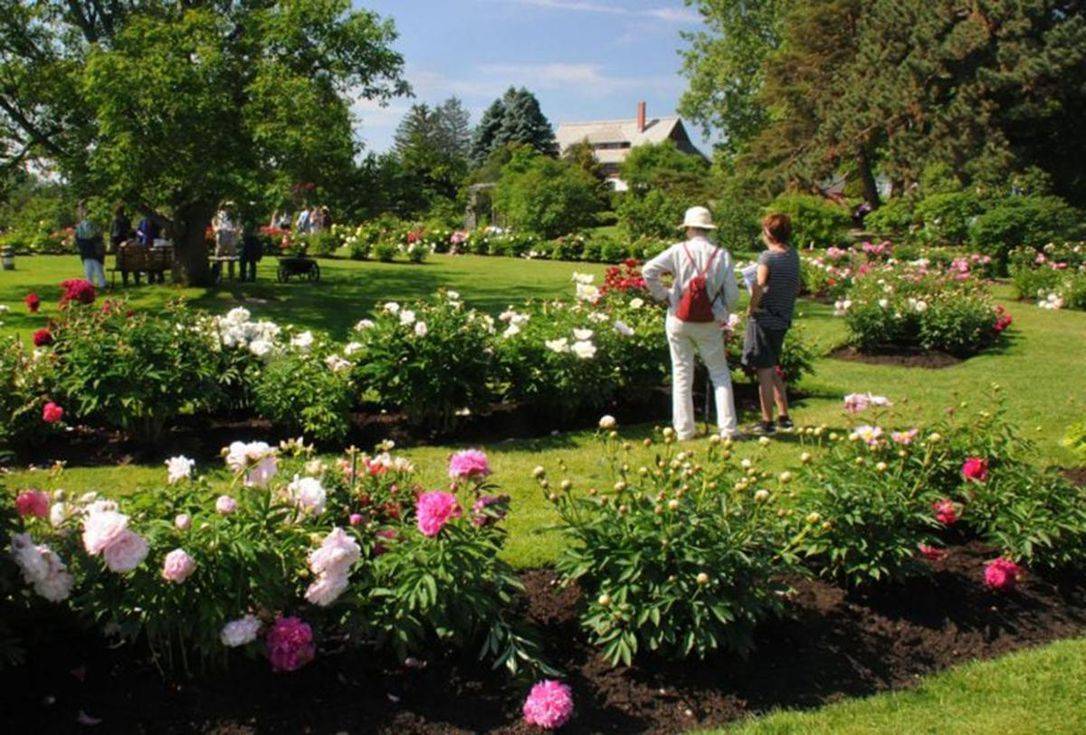 Pacific Palisades Garden