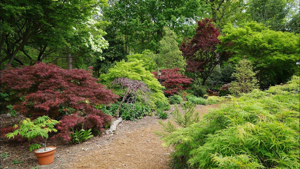 Southern New Jersey Small Yard Garden Tour Youtube Garden Tours