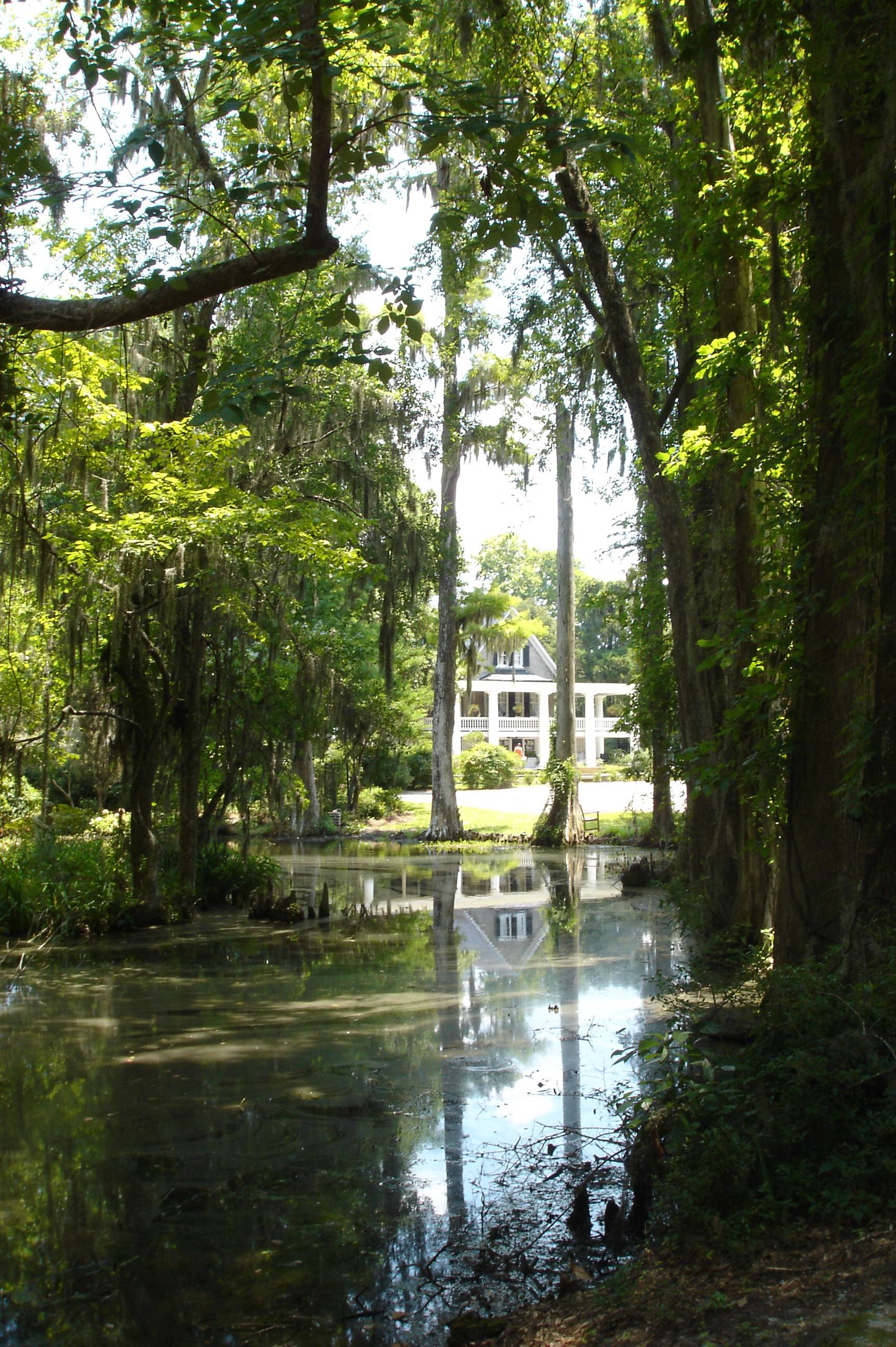 Magnolia Plantation And Gardens Charleston Sc Usa