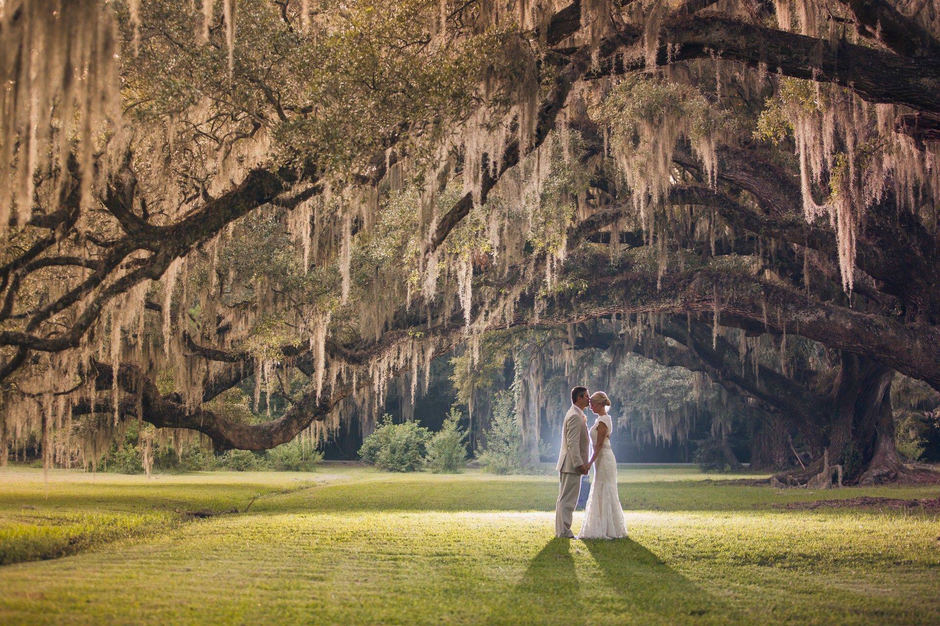 Magnolia Plantation And Gardens Reception Venues Charleston