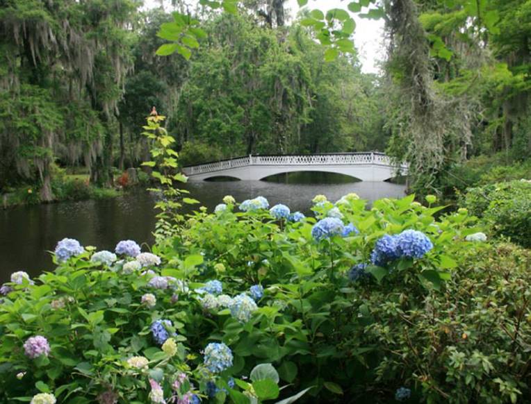 Magnolia Plantation