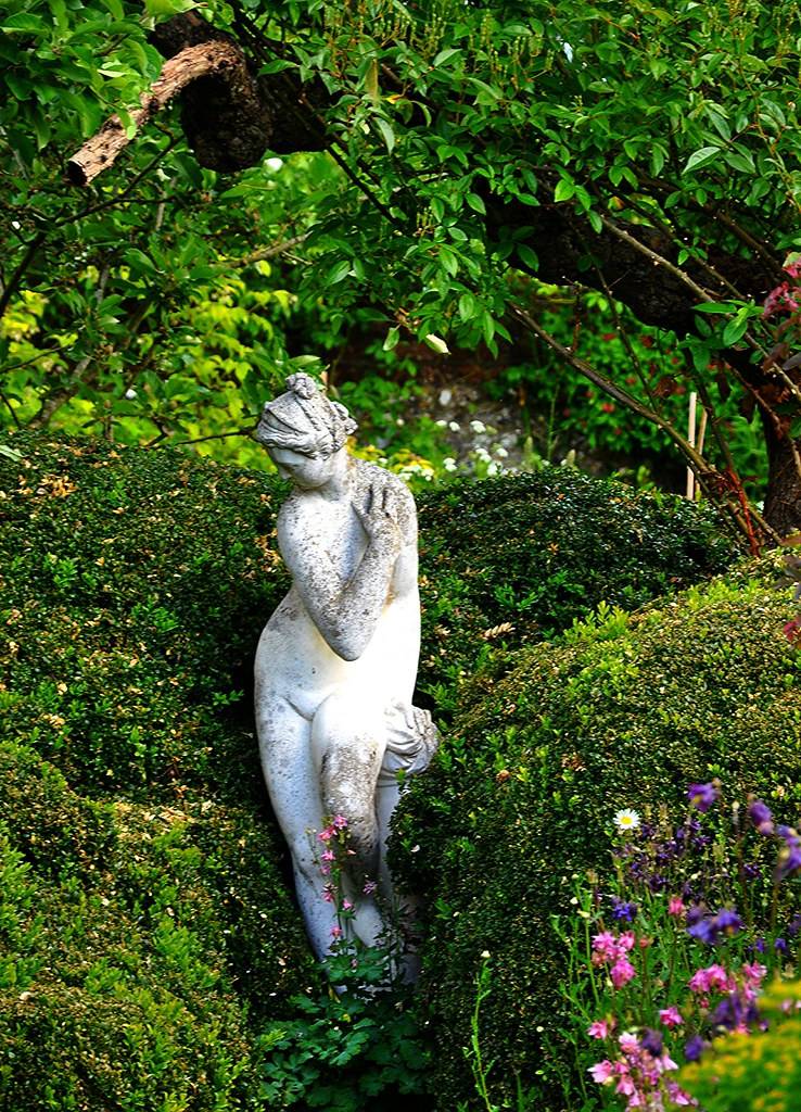 Home And Garden Collection