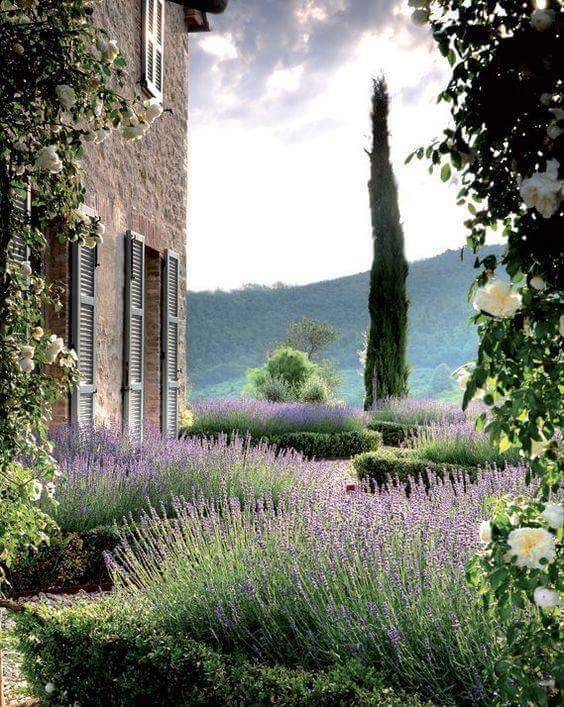 Narrow And Tiny Gardens Narrow Garden